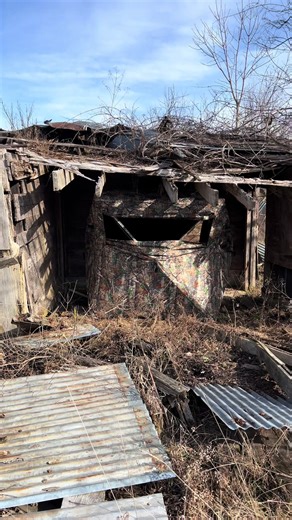 This spot is absolutely bullet proof, using this abandoned barn as cover for the blind has been deadly for does during the late season. Show me your creative ways to hide. Always open to new ideas. #bowhunting #deerhunt #archery #outdoorsman #deer