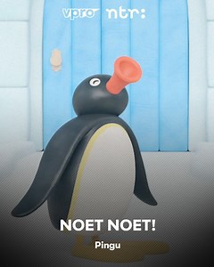 Wie is er ook zo'n fan van deze pinguïn? 🐧 #noetnoet #pingu VPRO NTR | NPO Start