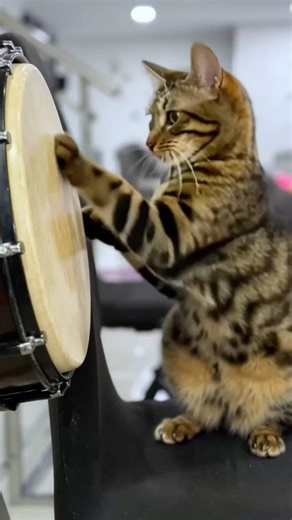 Chips Eating Challenge 🍟❤️😥