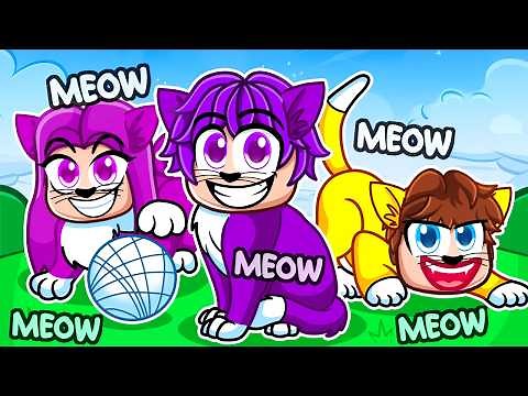 THE NEW DASH & FRIENDS!