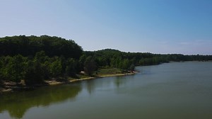 「水からオークの木に進む」の動画素材（ロイヤリティフリー）1091496127 | Shutterstock