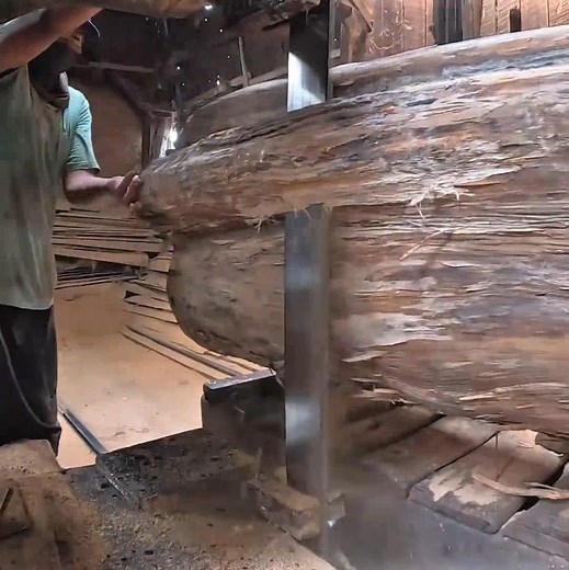 42K views · 407 reactions | Hard work with cutting wood | Making Video | Facebook