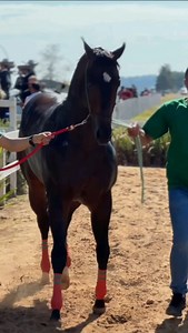 51K views · 1.5K reactions | EMAAR estreou com vitória no maior palco...