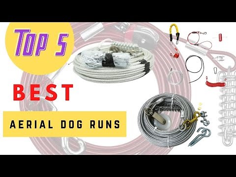 Aerial Dog Runs - The Best Aerial Dog Runs 2021