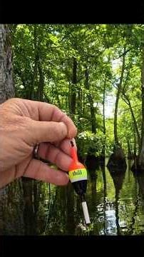Catch Bluegill instantly with this easy setup! 🎣🐟 #shorts #fishing