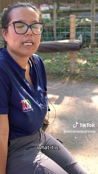 How to Become a Zoo Veterinary Technician with Athena! #vettechweek #veterinarymedicine #womeninstem