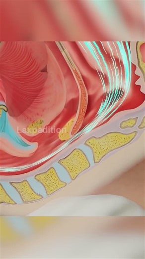 Why Do We Snore While Sleeping? 😴💤 #shorts