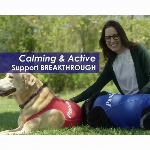 ProDogg™ Compression Vest | Designed to Calm, Built to Last