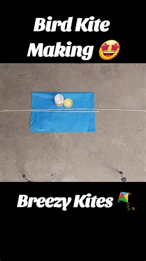 Bird Kite Making: Create Your Own Unique Kites