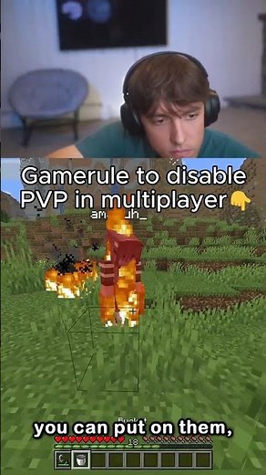 Dr Donut Gamerule to disable PVP in multiplayer...👇
