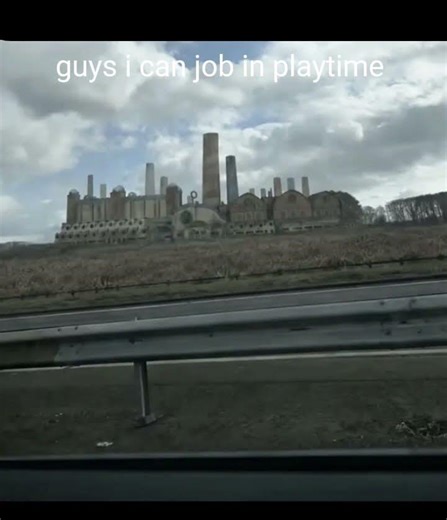 Hey, it wasn't me who applied for the job.