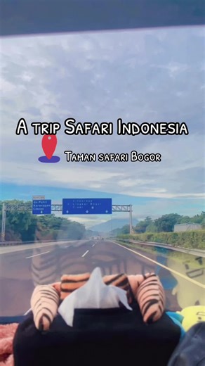 Tya Setya (@tyasetya92)’s videos with The Lions Sleeps Tonight (Re-Recording) - The Tokens