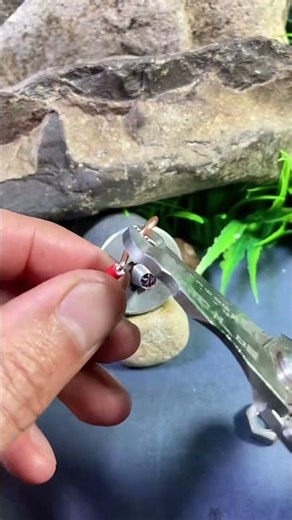 Single Core Wire Connection On Screw Tips #shortvideo #wire #screw