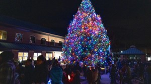 Monmouth, Ocean County Christmas tree lightings for 2025