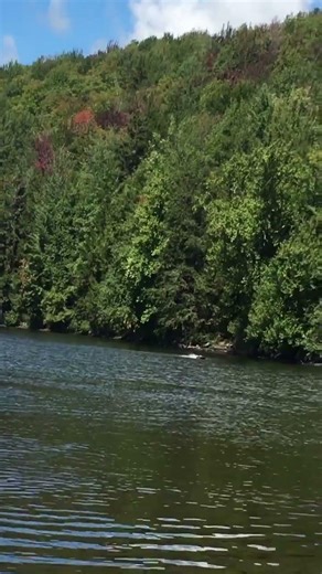 💥 RC Boat Crash at Full Speed! Blackjack 42 Goes Down!