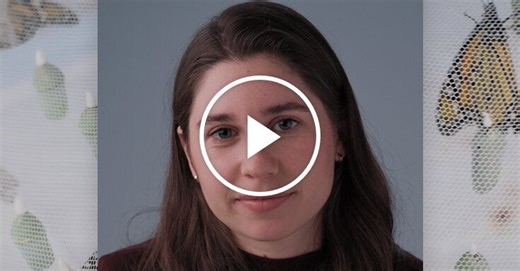 Why Scientists Are Performing Brain Surgery on Monarchs