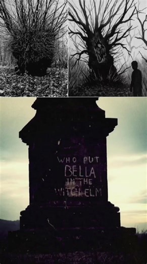 Who put Bella in the wych elm? #unsolvedmysteries #unsolvedmurder #Unidentified | Unsolved Mysteries & Paranormal Activities