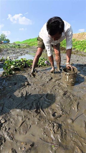 Incredible Hand Fishing! Catching Lot's of Fish #fishing
