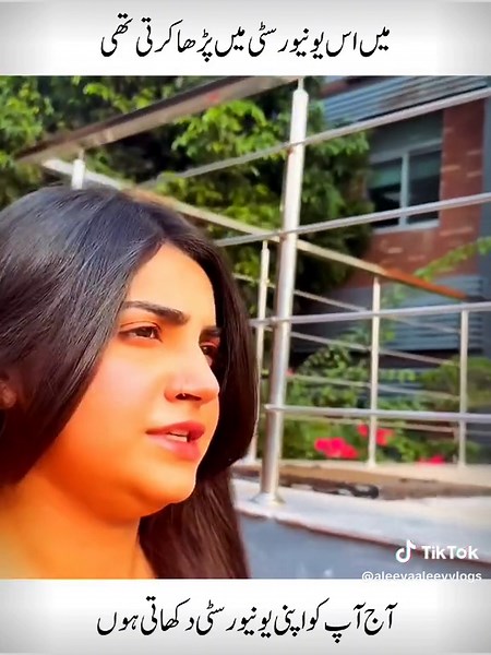 Cute Cat Pics Wallpaper: Live Wallpaper for Your iPhone 16