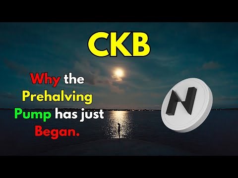 NERVOS NETWORK CKB Price News Today, Technical Analysis & Price Prediction 2024