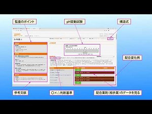 「注射薬調剤監査マニュアル電子版」簡単利用ガイド