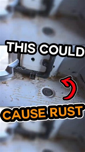 Rust Risk