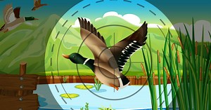 Download & Play Duck Hunter 3D: Duck Warriors on PC & Mac (Emulator)