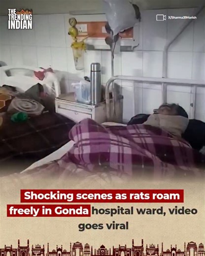The Trending Indian 🇮🇳 on Instagram: "A shocking video from Gonda Medical College’s ortho ward shows rats freely running from oxygen pipes to patient beds, even damaging patients’ food. The clip went viral, forcing the District Magistrate to order immediate pest control measures. The inc!dent has raised serious concerns over hygiene and patient safety in the hospital. Source:X/Sharma39Harish Copyright Disclaimer: Under Section 107 of the Copyright Act 1976, allowance is made for "fair use" for