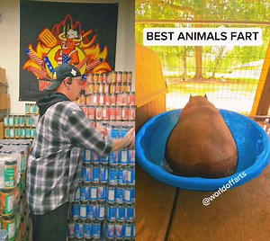 8.8K views · 10K reactions | Best animal farts! #animal #farts #reaction #jacobysalliance #foryou #justforfun #lmao #lolz #funnyvideos #comedyvideos | Jacoby Ray | Facebook