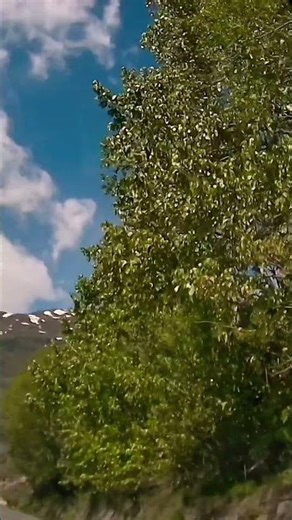 Driving to the Hidden Gems of Lahaul#shorts #travel #himachal#roadtrip#lahulspiti