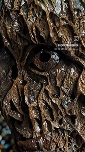 LSD Psychedelic ART on Reels