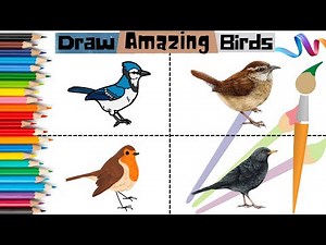 How to Draw Blue Jay, Robin, Wren, and Blackbird | Easy Step-by-Step Bird Drawings for Kids
