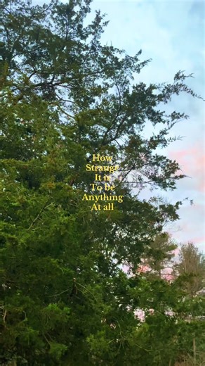 Inspirational Sunset Quotes for Nature Lovers