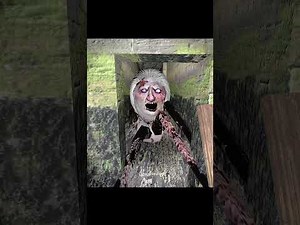 GRANNY Spider Pet 🐶/Live Gameplay/#granny #grannylive #shortslive