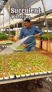 Succulent Watering Guide. Comment 'YES' I will DM the catalogue. The Pot Shop by Stephen, we live with plants. Call: 7299073939 | The Pot Shop