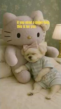 If you need a hug… #puppylove #hellokitty #hug