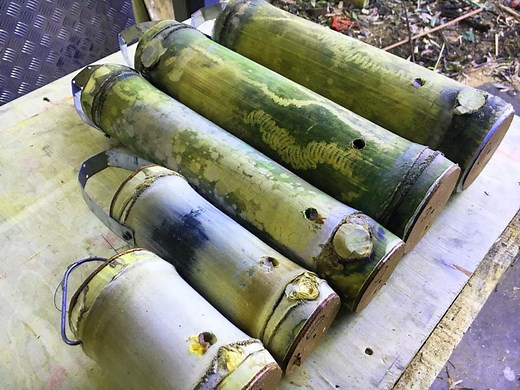 Trap hives for stingless bees