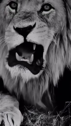 what for End 😱😱 #viralvideos #shots