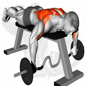 752K views · 33K reactions | Huge Back Workout | El caza Rutinas tv | Facebook