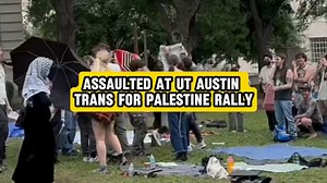 23K views · 564 reactions | Pro-Palestine protestors in Austin attack Alex Stein for telling the truth on how Palestine feels about transgenders | MRCTV | Facebook
