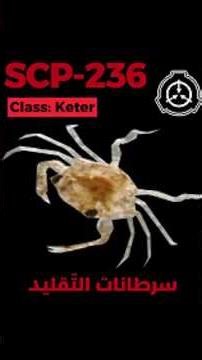 SCP-236 - سرطانات التَقليد #shorts