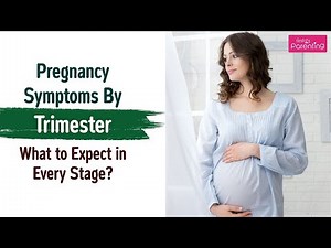 Pregnancy Symptoms By Trimester - What to Expect in Every Stage