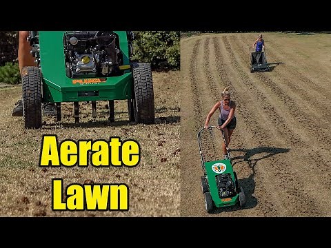 Aerating Bermuda Lawn - Late Summer Aeration