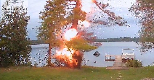 Dramatic video shows lightning strike exploding tree in Wisconsin