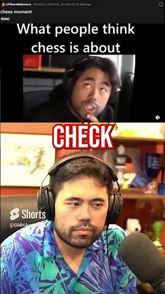 What People Think Chess Is