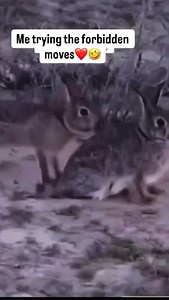 Me trying the forbidden moves 🤣 #reels #funny #couple #couplecomedy #reaction #relatable #fy #fyp #relationship #couplehumor #couplememes #comedy #girlfriend #prank #reaction | Chris Santiago