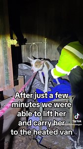 140K views · 9.4K reactions | In the past few days Animal Control has...