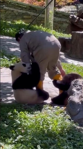 3 Fun & Productive VS Code Extensions You’ll Love 😼💡