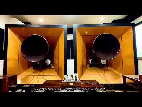 205D SE ‘s sound, artist Ohashi Yuko