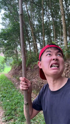 Survival Skills: Useful and Clever #outdoors #survival #campfire #bushcraft